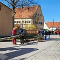 Maibaum umlegen (1).jpg