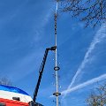 Maibaum umlegen (10).jpg