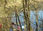 IMG 4940